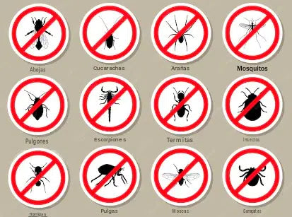 Veneno para cucarachas sin olor - Protege tu hogar y libérate de los bichos